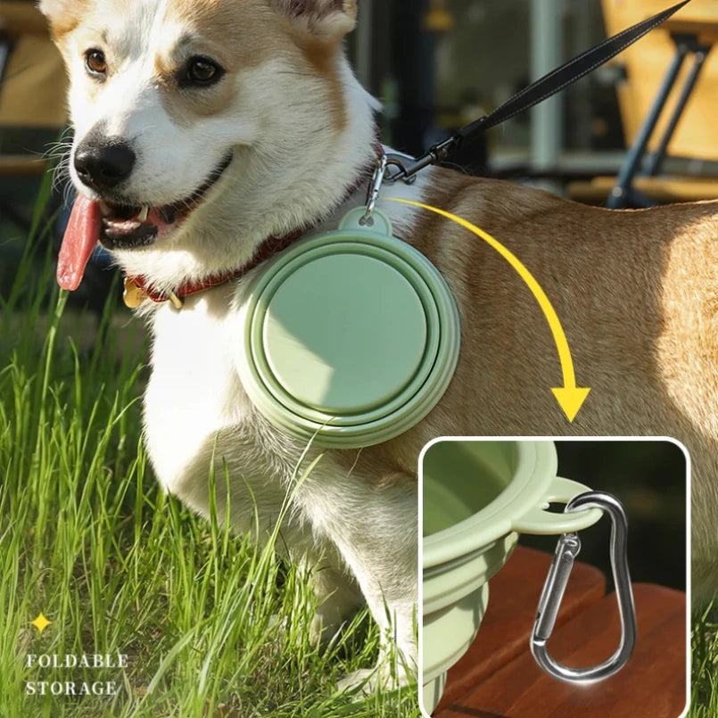 Tazón Plegable TravelPet